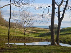 David Anderson recently purchased a large swathe of land south of Wallacetown with conservation in mind. His project is one of many from London to Chatham-Kent where landowners are prioritizing conservation with help from local groups.