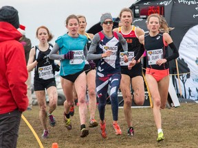 The lead group has about 2.5 kilometres left to go in the senior women's 10-kilometre race at the 2016 Athletics Canada Cross-Country Championships at Fort Henry. From left are Victoria Coates (who finished sixth), Kathryn Harrison (fourth), Rachel Hannah (fifth), Sasha Gollish (first), Claire Sumner (third) and Rachel Cliff (second). This year’s multi-race event takes place Saturday. (Tim Gordanier/The Whig-Standard)