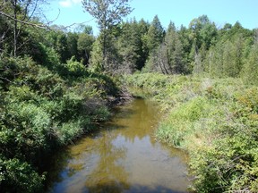 One of the projects NCC is working on in the local area is the Lower Maitland River Valley. Flowing into Lake Huron, this key watershed remains a refuge for rare plants and animals. Conserving this important area will help to protect wildlife and a local source of drinking water for the region. (PHOTO COURTESY OF NCC)