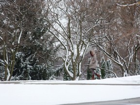 A woman walks through a winter wonderland at Ivy Park. (File photo)