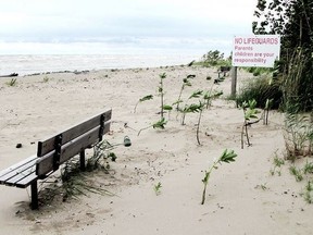 Rondeau Provincial Park is shown in this file photo. Cottagers in the park have had their leases extended for two years.