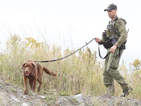 Const. Derry Mihell of the OPP canine unit along with Bones, the cadaver dog, search an area near Fieldstone Drive in early October. (Gino Donato/Sudbury Star file photo)