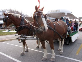 In this file photo, horses look both ways before crossing an intersection while pulling a wagon during a previous Christmas in the Village event in Point Edward. This year's holiday event aimed at family is Saturday, 10 a.m. to 3 p.m., in the village's downtown. (File photo)