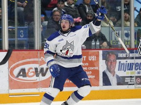 Dmitry Sokolov, of the Sudbury Wolves, celebrates after scoring a goal against the Mississauga Steelheads during OHL action at the Sudbury Community Arena in Sudbury, Ont. on Friday December 1, 2017. John Lappa/Sudbury Star/Postmedia Network