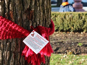 Oxford County Public Health brought the Red Scarf Project to Woodstock in honour of World HIV/AIDS Day on Friday, Dec. 1. On Friday morning staff tied red scarves knit by volunteers to trees and lamp posts in Museum Square to mark the occasion. SUBMITTED PHOTO