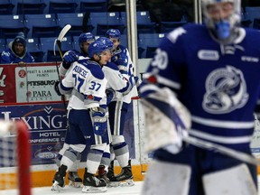 The Sudbury Wolves celebrate a goal against the Mississauga Steelheads during OHL action at the Sudbury Community Arena in Sudbury, Ont. on Friday December 1, 2017. John Lappa/Sudbury Star/Postmedia Network