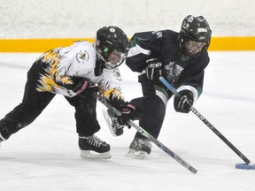 Ella Brodhagen (left) of the Mitchell U12 ringette team gets ready to chase down London’s Ashley McCallum during Western Regional Ringette League (WRRL) action Sunday, Dec. 10 in Mitchell. Brodhagen scored three goals in a 6-6 tie. ANDY BADER/MITCHELL ADVOCATE