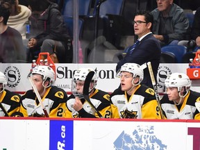 Hamilton Bulldogs associate coach Dave Matsos is shown behind the bench earlier this season. Matsos, the Sudbury Wolves' former head coach, will make his return to the Nickel City on Friday. Aaron Bell/OHL Images