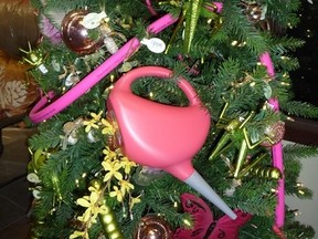 There are numerous gift ideas for the gardener in your life, everything from a quality set of pruners, to a pair of knee pads or a sun hat. (John DeGroot photo)