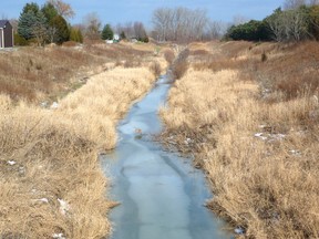 The creek next to DeGroot’s Nursery. It’s one of many in Lambton County that mostly go unnoticed, but gardening expert John DeGroot says creeks like this one provide a valuable service to the community, especially during periods of excess rainfall or snowmelt. (John DeGroot photo)