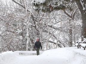 It was a winter wonderland for people walking at Bell Park on Wednesday. Environment Canada said Greater Sudbury can expect the cold temperatures to return on Thursday with a mix of sun and cloud and a high of -23 C and wind chill of -39 C. (John Lappa/Sudbury Star)