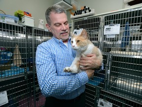 Kent Lattanzio, director of operations at the London Animal Care Centre, holds a three-year-old male cat named Marcus who is up for adoption. A new city bylaw will force pet shops to source animals from rescue agencies, shelters and humane societies. (MORRIS LAMONT/THE LONDON FREE PRESS)