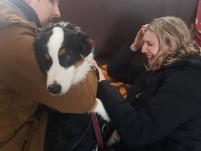 After being found, in the picture is Oscar, a six-month-old Australian Shepherd. Bursting in tears is his owner to the right. The puppy survived outside in the Arctic temperatures for three days. (Photo courtesy of Facebook)