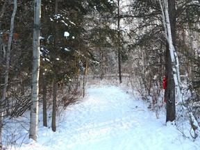 The trail system near the Howard Armstrong Recreation Centre in Hanmer on Jan. 4. (John Lappa/Sudbury Star)