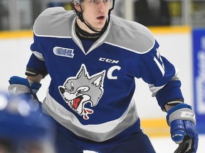 New Sarnia Sting forward Michael Pezzetta had been the Sudbury Wolves' captain. (AARON BELL/OHL Images)