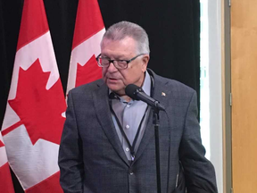 Ralph Goodale speaks to reporters outside the federals Liberals' cabinet retreat in London Friday.