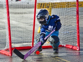 Register for the 3 on 3 ball hockey tournament by Jan. 20. (Postmedia File Photo)