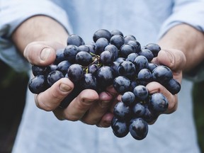 Lindy grapes