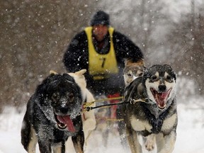 LUKE HENDRY/INTELLIGENCER FILE PHOTO
There will be no sled dog racing in Centre Hastings this winter. Marmora Snofest, set for Feb. 2-3, has discontinued its races due to unpredictable weather while a lack of volunteers has forced the cancellation of the Eldorado Gold Cup races orginally slated for Feb. 17-18.