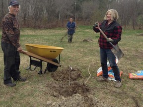 Neighbours in Garson got together to plant and care for a butternut grove near Junction Creek. (Photo supplied)