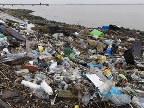 Plastics and other detritus line the shore of the Thames Estuary on Jan. 2, 2018 in Cliffe, Kent in Britain. Tons of plastic and other waste lines areas along the Thames Estuary shoreline, an important feeding ground for wading birds and other marine wildlife. According to the United Nations Environment Programme (UNEP), at current rates of pollution, there will likely be more plastic in the sea than fish by 2050. In December 2017 Britain joined the other 193 UN countries and signed up to a resolution to help eliminate marine litter and microplastics in the sea. It is estimated that about eight million metric tons of plastic find their way into the world's oceans every year. Once in the Ocean plastic can take hundreds of years to degrade, all the while breaking down into smaller and smaller 'microplastics,' which can be consumed by marine animals, and find their way into the human food chain.Photo by Dan Kitwood/Getty Images.