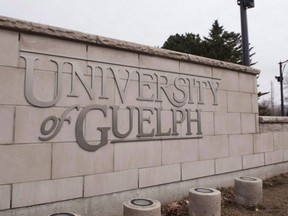 The University of Guelph in Guelph, Ontario is shown on Friday March 24, 2017. The University of Guelph says it's suspended a professor who students allege insulted one of their classmates who has severe anxiety. (HANNAH YOON, The Canadian Press)