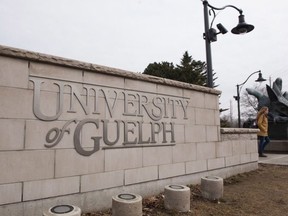A student walks off campus at the University of Guelph in Guelph, Ontario on Friday March 24, 2017. Hannah Yoon / THE CANADIAN PRESS
