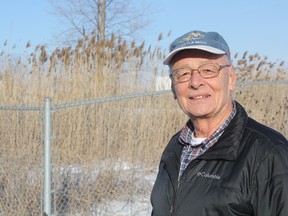 David Collins, who chairs the select committee for phragmites control, stands in front of some of the last phragmites in St. Thomas at Centennial Road and Formet Drive. The city’s phragmites eradication strategy has worked exceptionally well compared to other areas in the region. (Laura Broadley/Times-Journal)