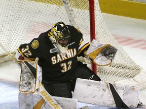 Justin Fazio of the Sarnia Sting (Free Press file photo)