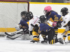 Max Brodhagen of the Mitchell Novice LL 2 team fires the puck into the net as the Meteors defeated visiting Wallace 8-0 in WOAA exhibition action last Wednesday, Jan. 24. ANDY BADER/MITCHELL ADVOCATE