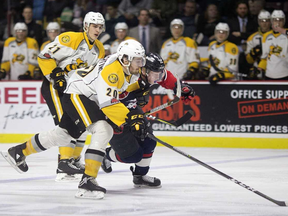 Sarnia Sting's Connor Schlichting (20) and Windsor Spitfires' William Sirman chase the puck at the WFCU Centre in Windsor, Ont., on Thursday, Feb. 1, 2018. (DAX MELMER/Postmedia Network)