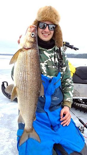 Whitefish: Catch More This Ice Fishing Season - In-Fisherman - In