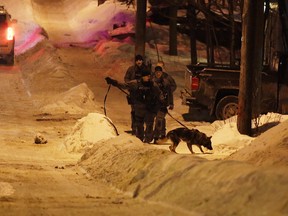 Gino Donato/The Sudbury Star.
Officers conducted a K9 track in the Bloor Street area on Tuesday night looking for two robbery suspects.