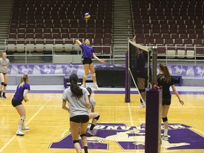 The Western Mustangs women's volleyball team practices at Alumni Hall on  Tuesday, Feb. 6. (DEREK RUTTAN, The London Free Press)