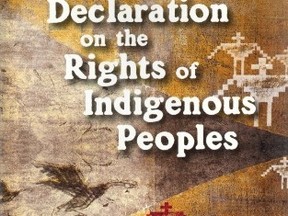 United Nations Declaration on the Rights of Indigenous People...