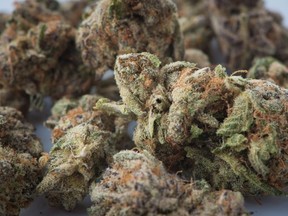 Medical marijuana is shown in Toronto on November 5, 2017. THE CANADIAN PRESS/Graeme Roy