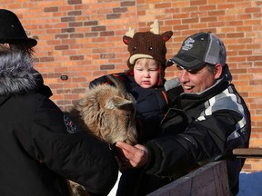 Cliff Whalen and his grandson, Grayson Kennedy, 2, say hello to a dwarf goat at a petting zoo at the Walden Winter Carnival in Lively, Ont. on Saturday February 10, 2018. John Lappa/Sudbury Star/Postmedia Network