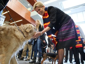 Elliot Ferguson/The Whig-Standard
Ontario Premier Kathleen Wynne pets Xena, a golden retriever, during a tour of the Athletics and Recreation Centre at Queen’s University on Wednesday.