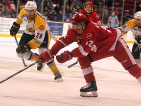 Soo Greyhounds Boris Katchouk is chased by Sarnia Sting Connor Schlichting and Jordan Ernst during third-period Ontario Hockey League action at Essar Centre in Sault Ste. Marie, Ont.