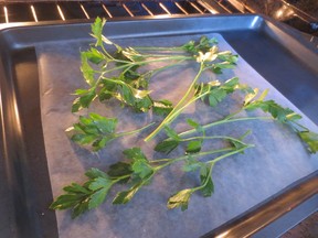 To dry parsley, arrange the cuttings on a cookie sheet lined with parchment paper. Put the sheet in the oven for one to four hours around 150 degrees F, with the oven door cracked open. Drying times vary, so watch closely. Store in an airtight container, and crush when you’re ready to use. Supplied photo