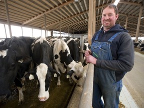 Jason Vis, of Aylmer, with his father Paul and brother Kevin, manage a herd of 240 Holstein dairy cows. The family is concerned planned revisions to the Canada Food Guide will hurt dairy and beef producers. (MIKE HENSEN, The London Free Press)