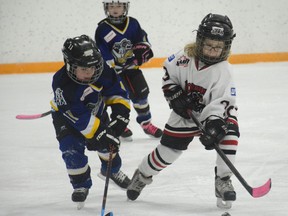 The Whitecourt Wolverines novice team went up against the Leduc Roughnecks novice team on Jan. 13 (Peter Shokeir | Whitecourt Star).