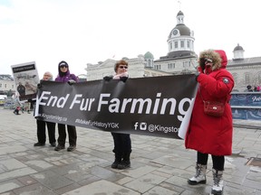 Demonstrators with the Kingston Veg Network marked National Anti-Fur Day at Springer Market Square in Kingston on Sunday. (Meghan Balogh/The Whig-Standard)