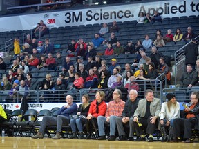 A sparse crowd takes in a London Lightning game this season at Budweiser Gardens. The Lightning, though, easily lead the NBL in attendance. (MORRIS LAMONT, The London Free Press)