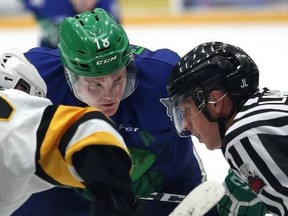 Macauley Carson, right, of the Sudbury Wolves, prepares for a faceoff during OHL action against the Hamilton Bulldogs at the Sudbury Community Arena in Sudbury, Ont. on Saturday February 17, 2018. John Lappa/Sudbury Star/Postmedia Network