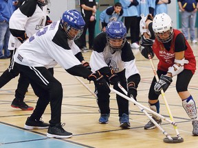 Floor hockey