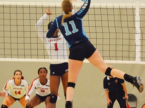 Loyalist vs. Sheridan at the 2018 OCAA women's volleyball championships held on the weekend at Scarborough Centennial College. (OCAA photo)