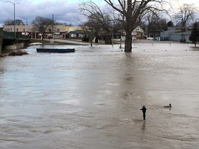 The level of the Thames River rose again overnight and the water is moving fast. This photo is taken at the Third Street Bridge in Chatham, Ont. on Sunday February 25, 2018. (Ellwood Shreve/Chatham Daily News/Postmedia Network)