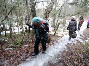 Stana Luxford Oddie led a Forest Therapy Walk at Little Cataraqui Creek Conservation Area in Kingston on Saturday. (Meghan Balogh/The Whig-Standard/Postmedia Network)