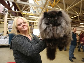 Lauraine Ouellet with her first-place male Persian cat Magic at the Kingston Cat Show at Portsmouth Olympic Harbour on Saturday. (Meghan Balogh/The Whig-Standard/Postmedia Network)